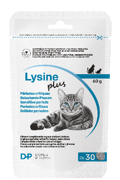 Lysine Plus