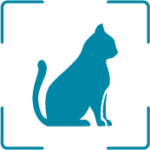 Gato