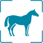 Caballo