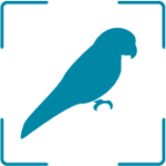 Loro